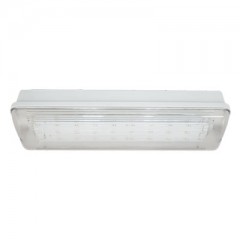 Аварийный светильник автономный SL-223-30LED1.8 (исп. 1)